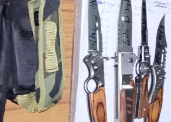 5000 से ज्यादा प्रतिबंधित चाकू ऑनलाइन बेचे गए, दिल्ली पुलिस ने फ्लिपकार्ट से मांगी खरीदारों की डिटेल