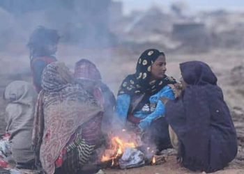 सर्दी का सितम: ठंड से कांप रहा है पूरा उत्तर भारत