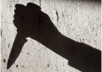 ताई के 6 टुकड़े किए, सूटकेस में भरकर जंगल में फेंक दिये