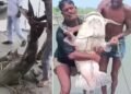 नेपाल की बाढ़ से बिहार पहुंची अज्ञात मछलियां, सरकार ने जारी की स्वास्थ्य चेतावनी